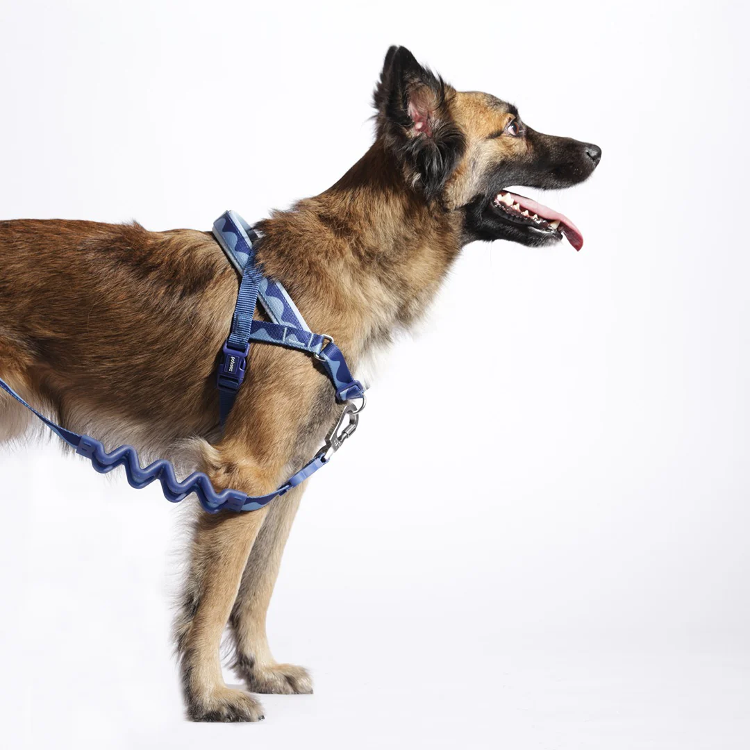 Zee.Dog SofterWalk Dog Harness - Swell - Image 4