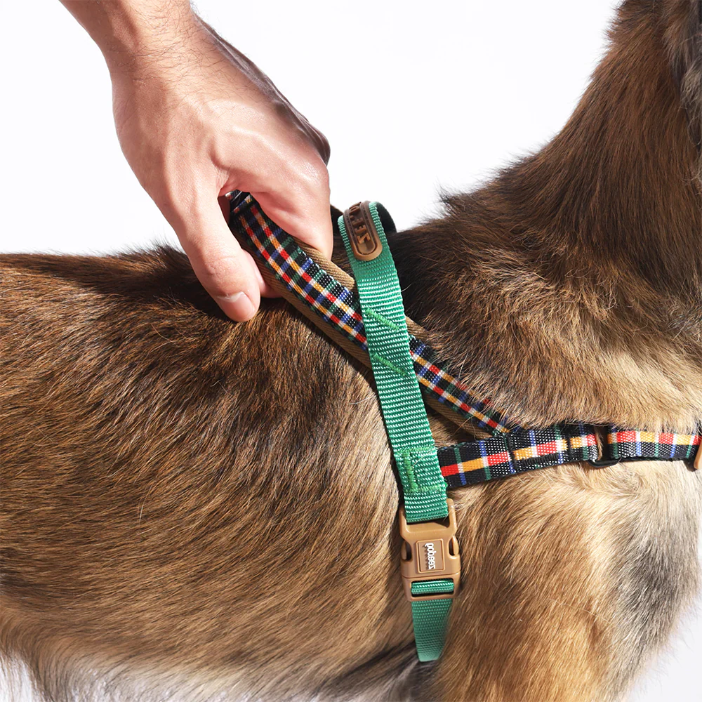 Zee.Dog Travis SofterWalk Harness - Image 3