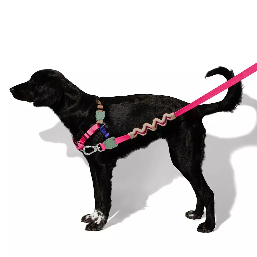 Zee.Dog Yucca Soft Walk Harness - Medium - Image 2