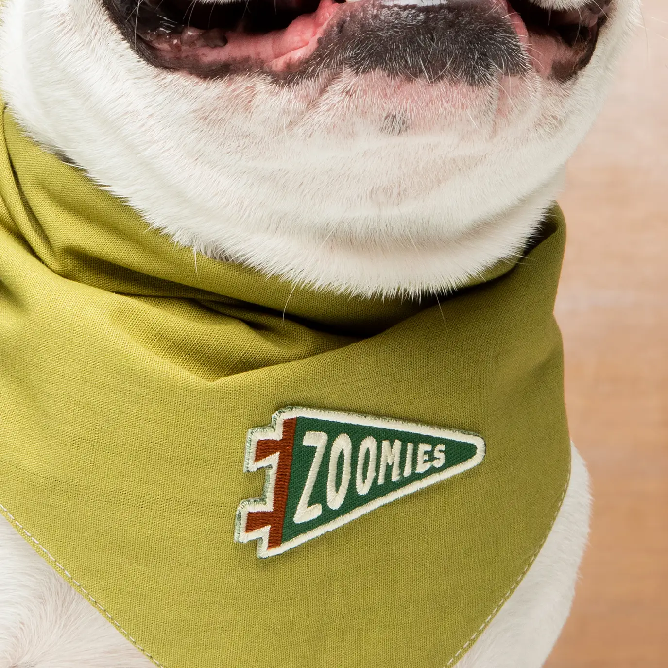 Scout's Honour, Zoomies, Iron-On Patch for Pets - Image 3